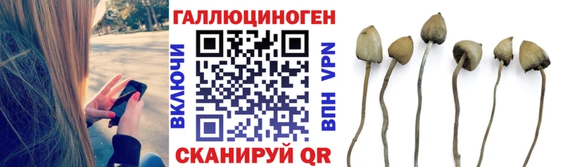 Купить где  Калтан  Псилоцибиновые грибы мухоморы 
